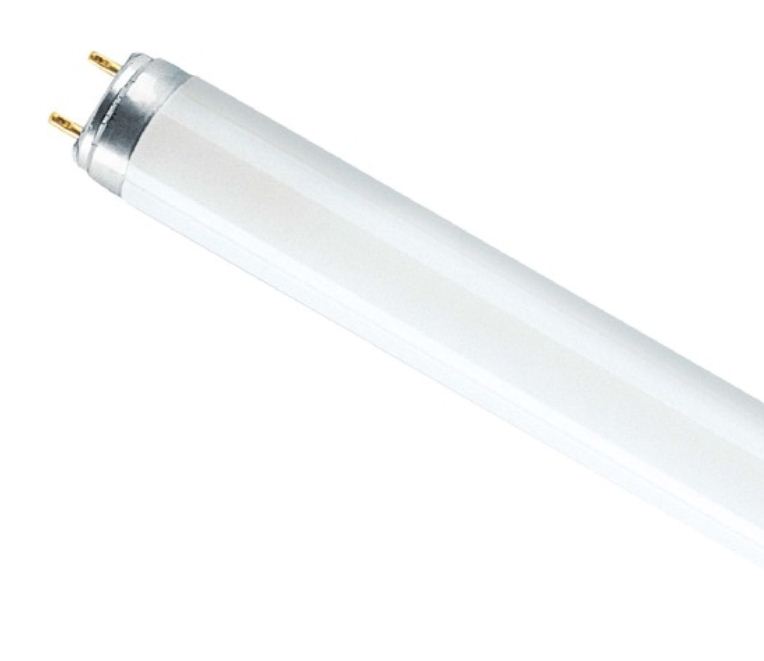Osram Лампа люминесцентная L 58W/765 T8 G13