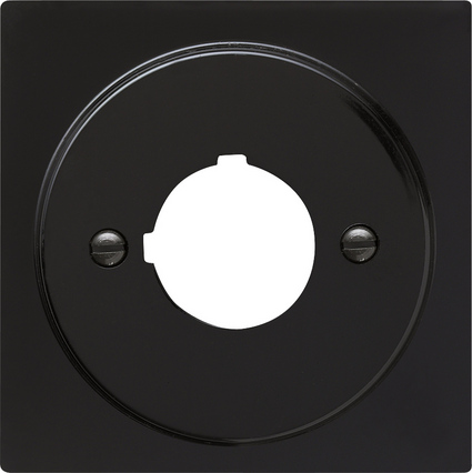 Gira Накладка с опорным кольцом для установки устр-в управления и оповещения с ǿ 22,5 мм