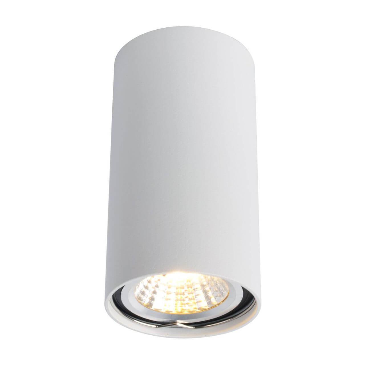 Arte Lamp A1516PL-1WH Светильник потолочный