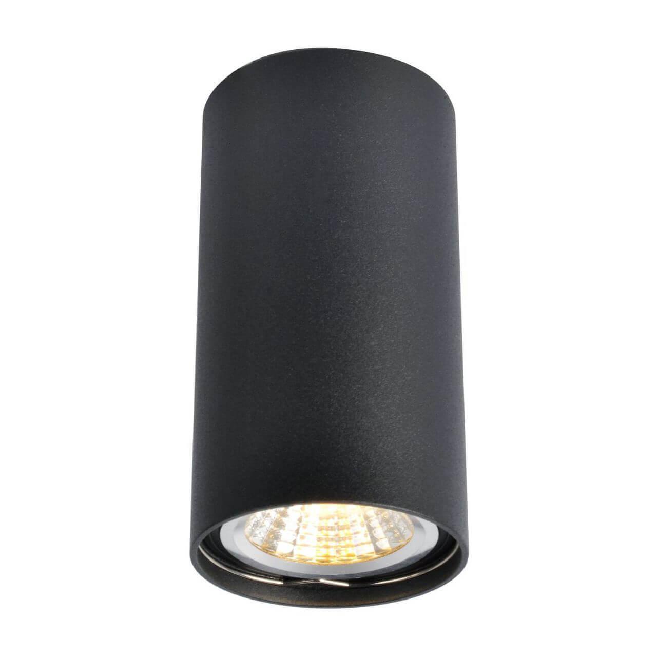 Arte Lamp UNIX Потолочные светильники A1516PL-1BK