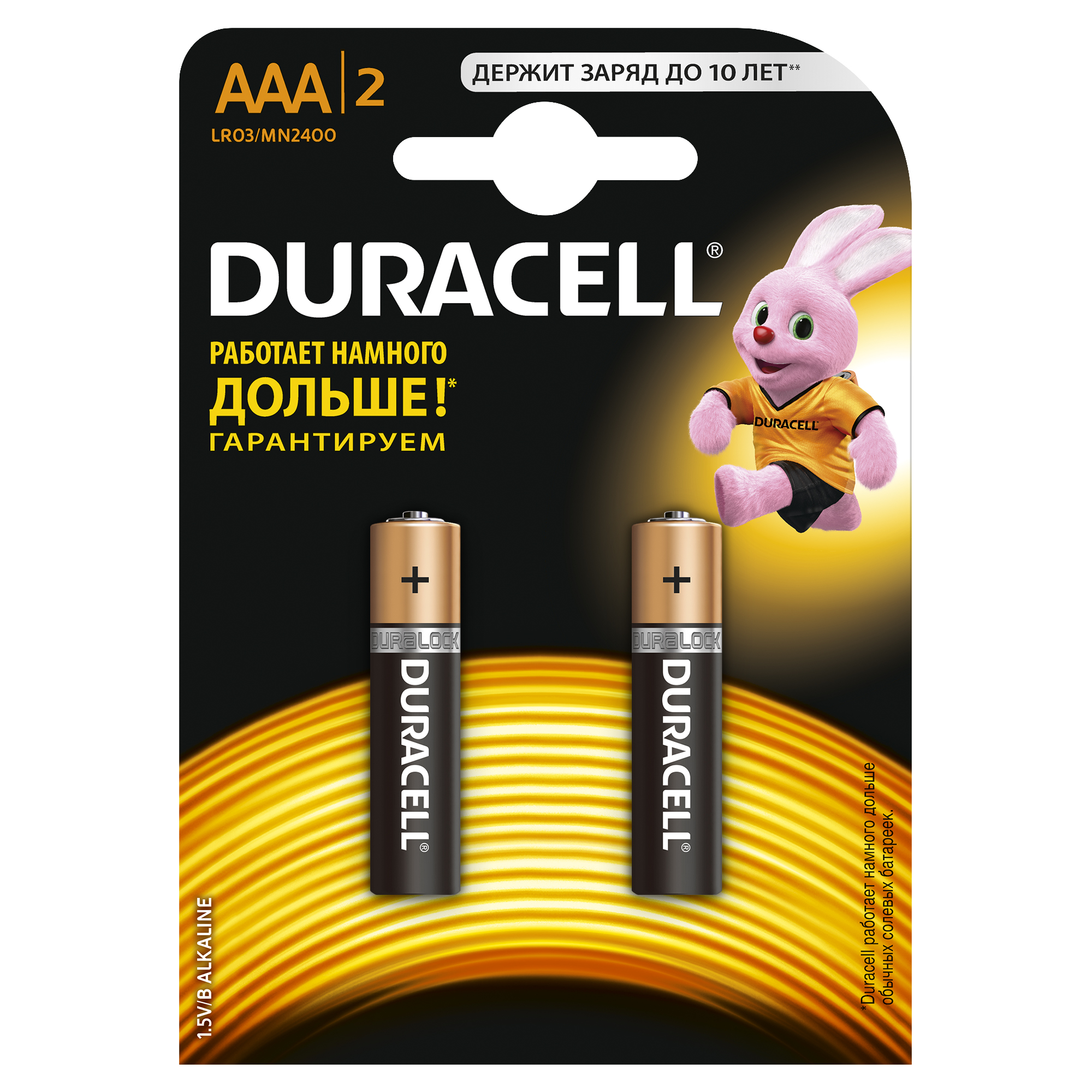 Duracell 5006609 Алкалиновая батарейка типа AAA  LR03 / MN 2400 LR03-2BL BASIC CN
