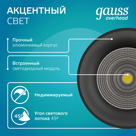 Gauss Светильник Overhead подвесной цилиндр 12W 920lm 4100K 170-240V IP20 79*200мм черный LED