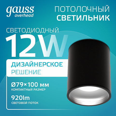 Gauss Светильник Overhead накл цил 12W 920lm 4100K 170-240V IP20 79*100мм черный LED