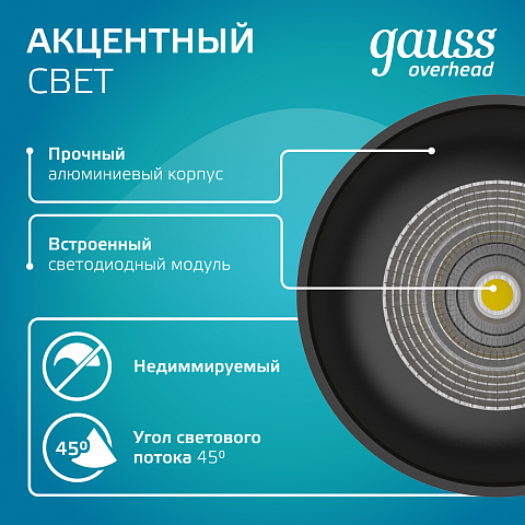Gauss Светильник Overhead накл цил 12W 920lm 4100K 170-240V IP20 79*100мм черный LED