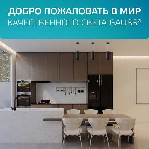 Gauss Светильник Overhead подвесной цилиндр 12W 920lm 4100K 170-240V IP20 79*200мм черный LED