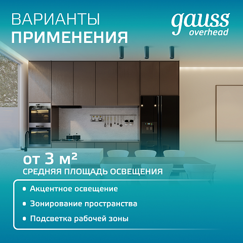 Gauss Светильник Overhead накл цил 12W 920lm 4100K 170-240V IP20 79*100мм черный LED