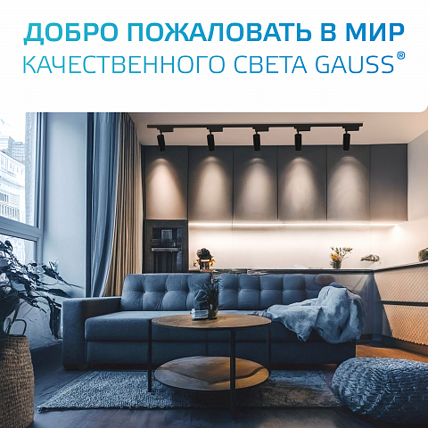 Gauss Адаптер для подключения светильника к трековой системе (с фиксирующей шайбой) цвет черный