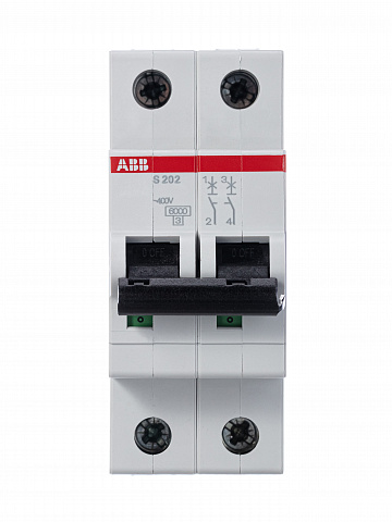 ABB Выключатель автоматический 2-полюсной S202 C13