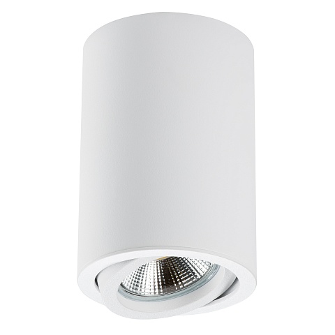 Lightstar Светильник точечный накладной декоративный под заменяемые галогенные или LED лампы Rullo Lightstar 214406