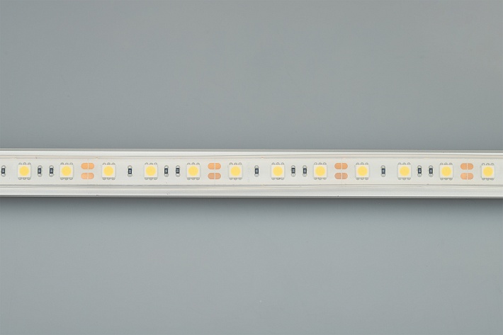 Arlight Светодиодная лента герметичная RTW-PFS-B60-13mm 12V Warm3000 (14.4 W/m, IP68, 5060, 5m) (-)