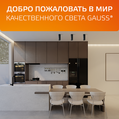 Gauss Светильник Overhead накл цил 10W 700lm 3000K 170-240V IP20 88*75мм белый с расс LED