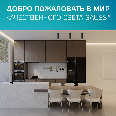 Gauss Светильник Overhead накл цил 12W 920lm 4100K 170-240V IP20 79*100мм черный LED