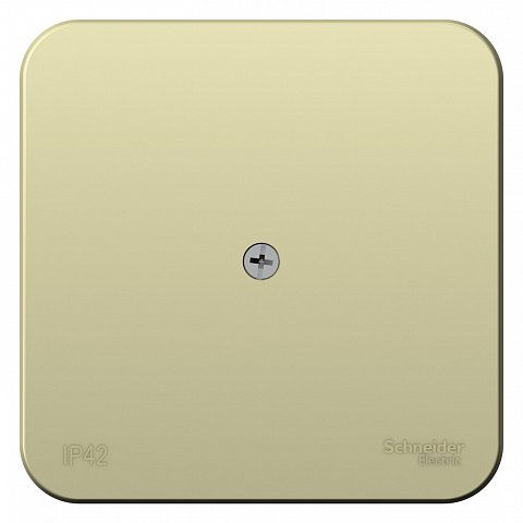 SE Blanca наруж Беж Коробка распределительная IP42