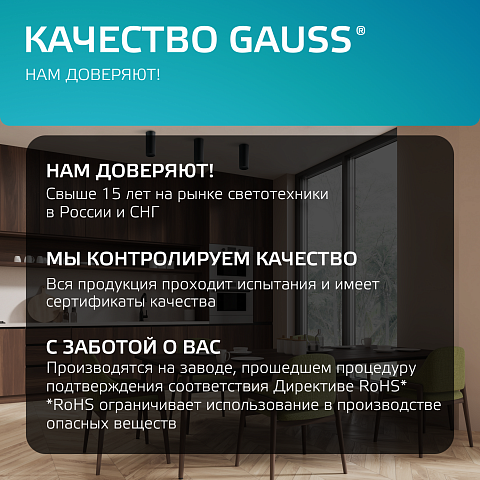 Gauss Светильник Overhead накл цил 12W 920lm 4100K 170-240V IP20 79*100мм черный LED