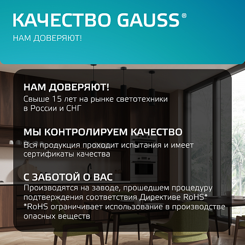 Gauss Светильник Overhead подвесной цилиндр 12W 920lm 4100K 170-240V IP20 79*200мм черный LED
