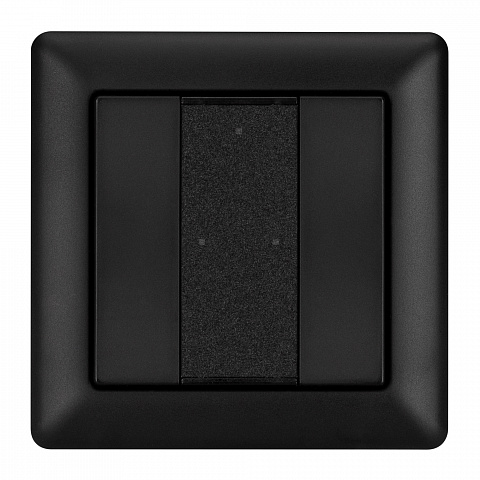 Arlight INTELLIGENT Панель DALI-223-2K-D2-IN-BLACK (BUS, Free purpose) (INTELLIGENT -)