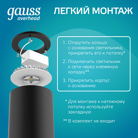 Gauss Светильник Overhead накл цил 12W 920lm 4100K 170-240V IP20 79*100мм черный LED
